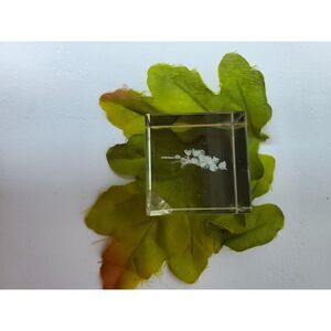 Set of 2 Vintage I love you small paperweights clear